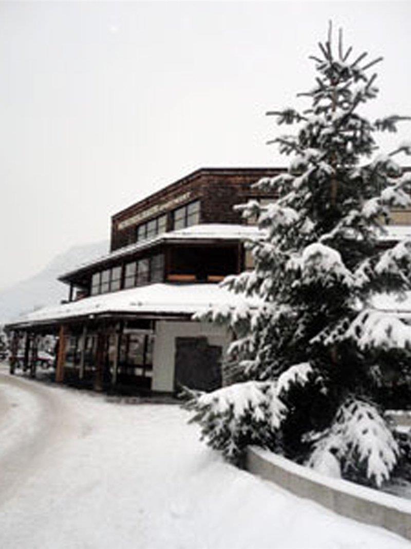 Aparthotel Schindlhaus/Alpin Söll Kültér fotó